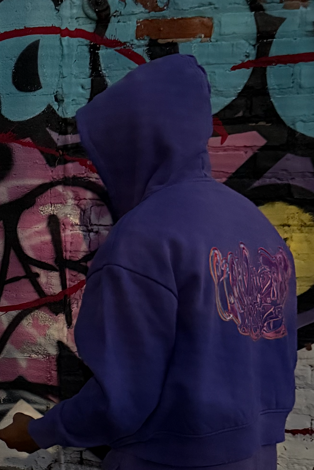 BANI SOLIVAGANTI PURPLE TRIP ZIPUP 1/1